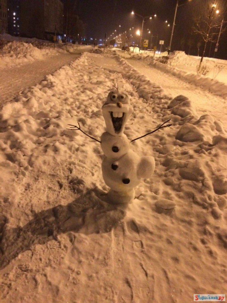 Самые крутые Снеговики в мире