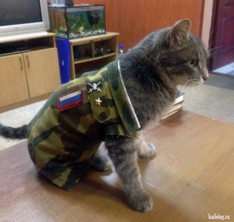 Швейные войска Беларуси