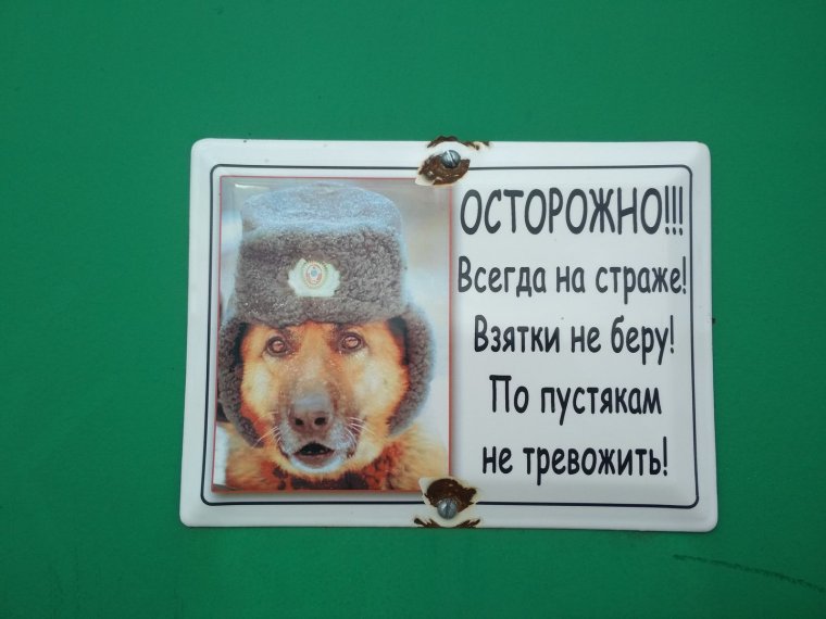 Табличка во дворе злая собака прикольная