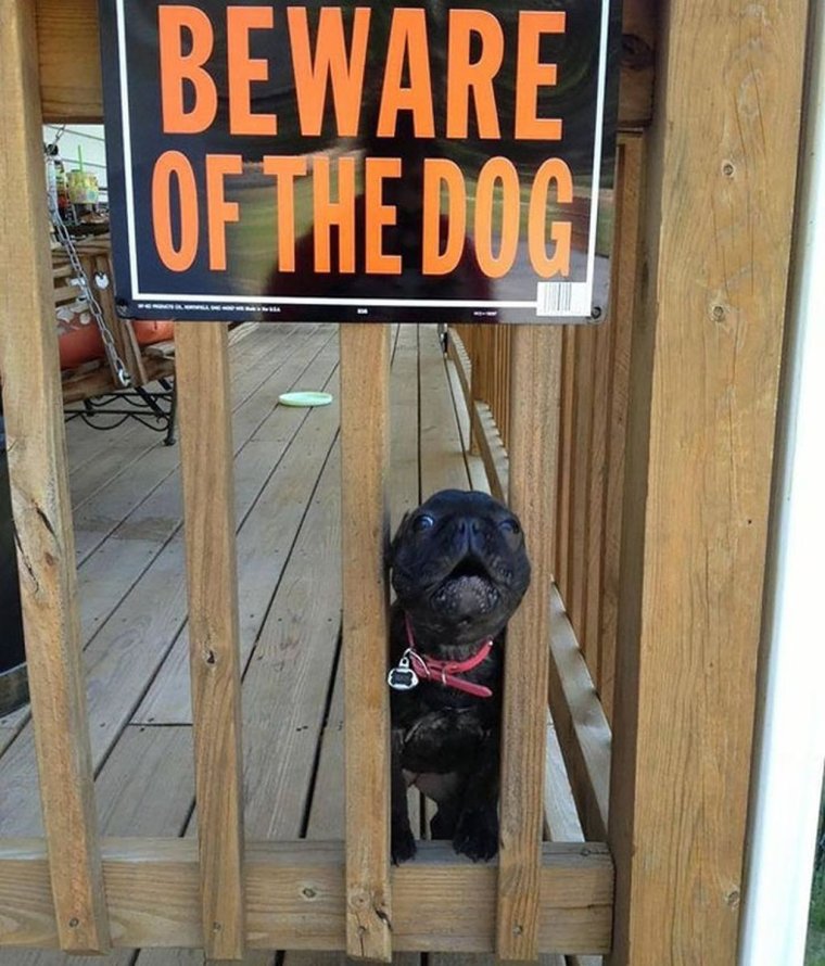 Табличка осторожно злая собака