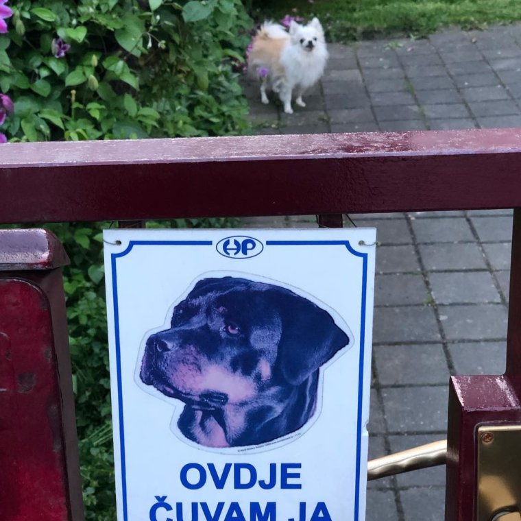 Надписи на калитках