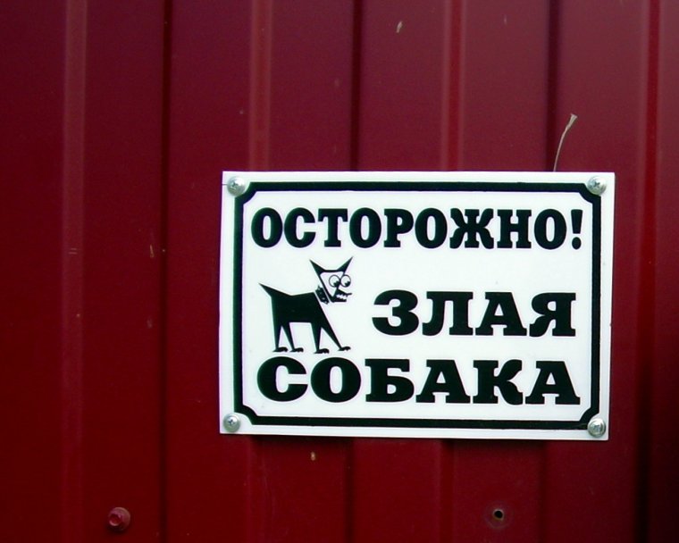 Осторожно злая собака табличка бультерьер