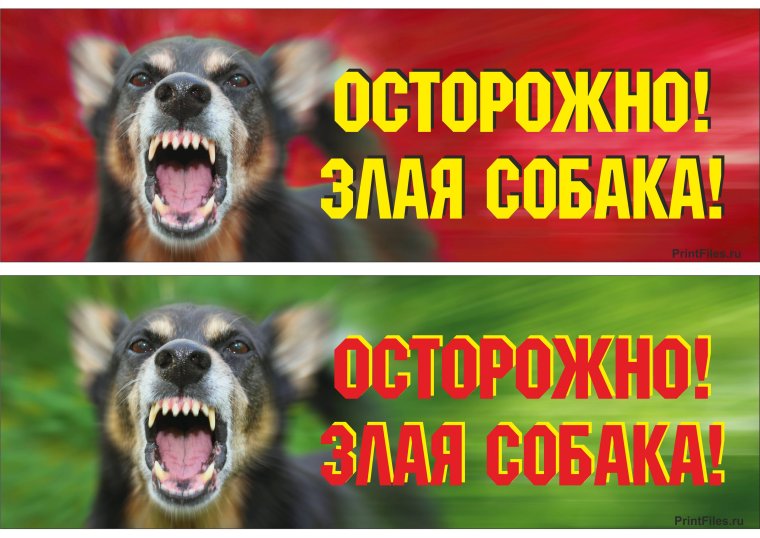 Осторожно злая собака прикол
