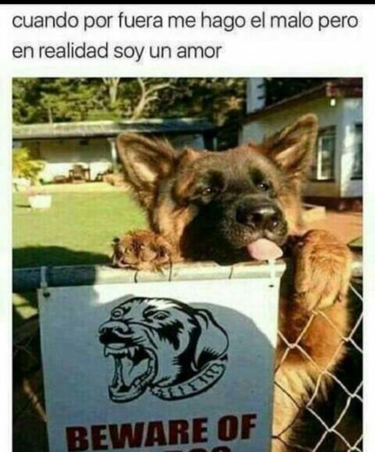 Табличка на забор злая собака