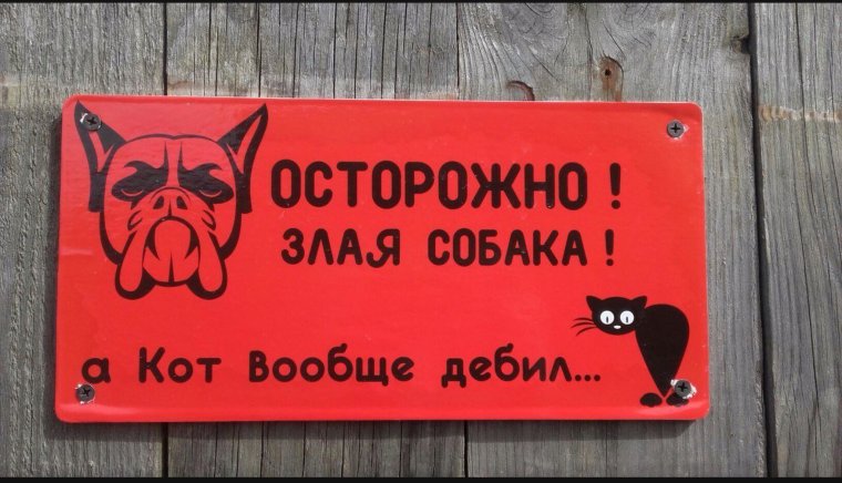Смешные таблички про собак
