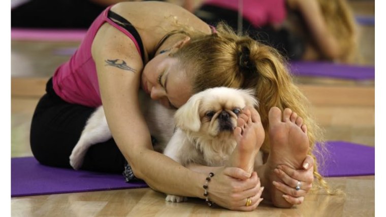 Гимнастка на бревне