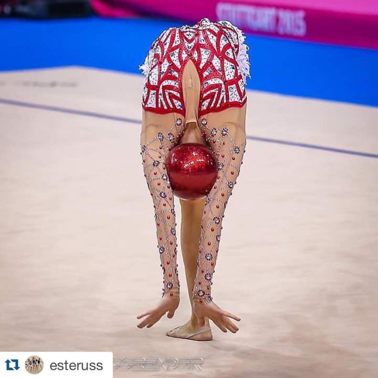 Кошка акробат