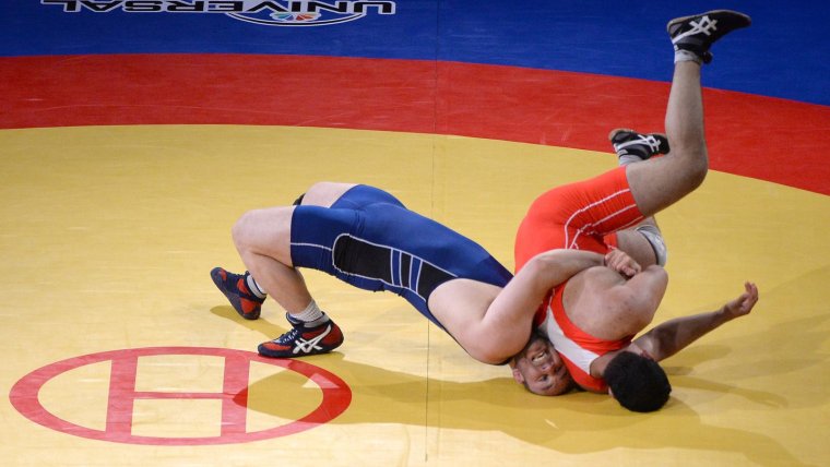 Вольная борьба татами