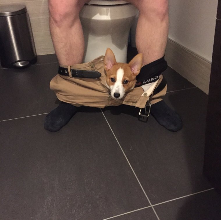 Порка ремешком