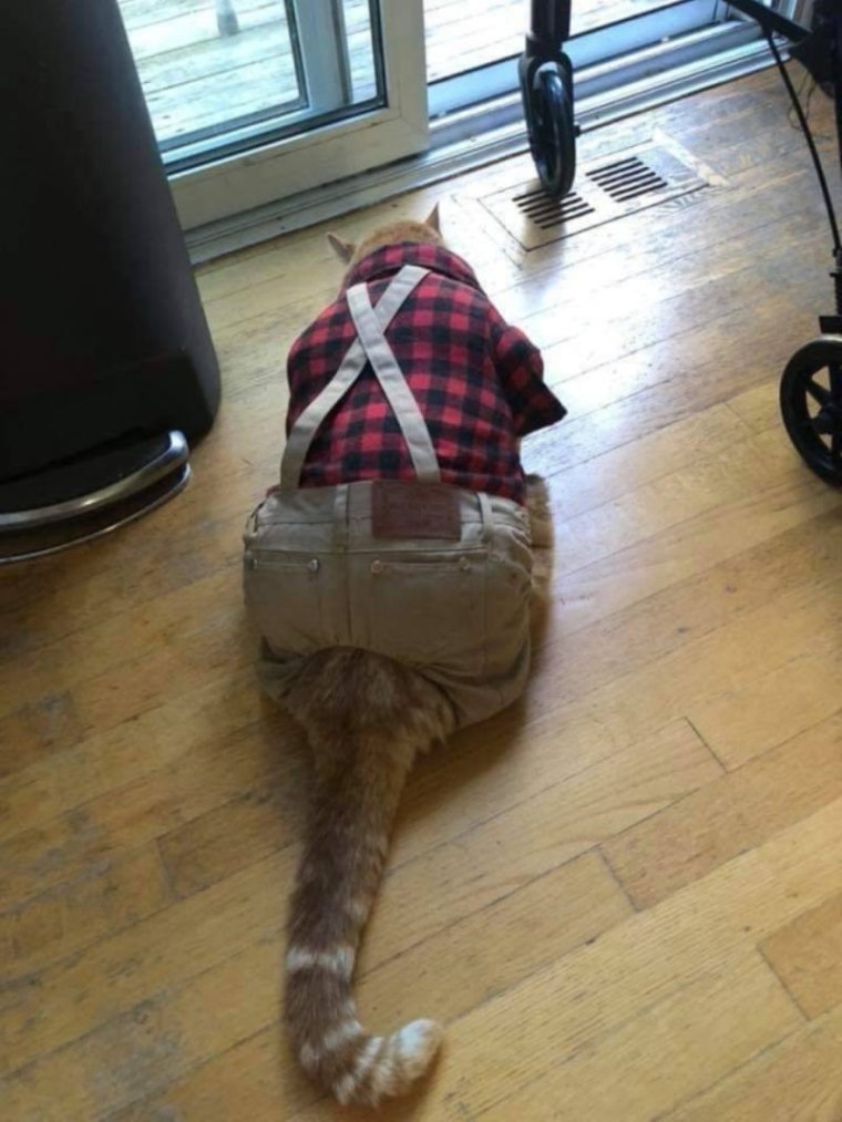 Наказание ремнем