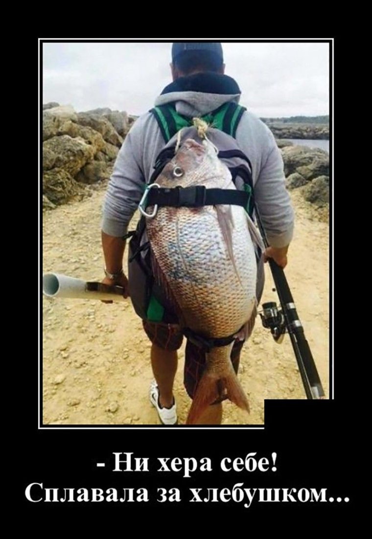 Приколы на рыбалке 2020