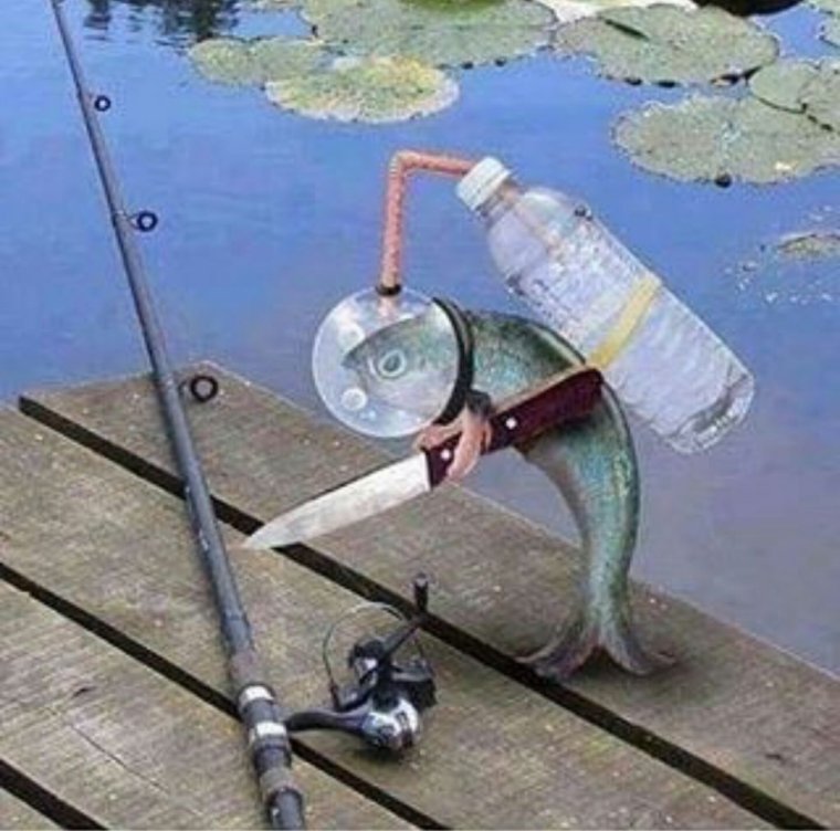 Женщина на рыбалке юмор