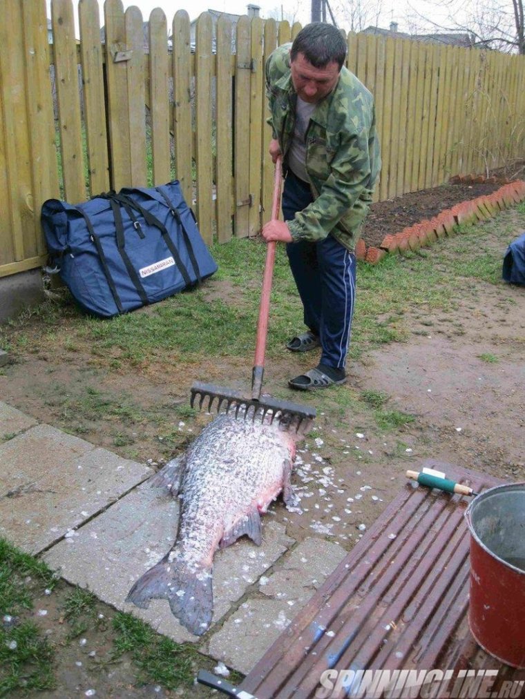 Забавные девушки на рыбалке