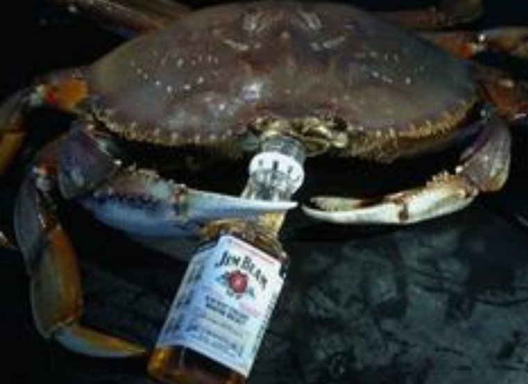 Смешной Крабик