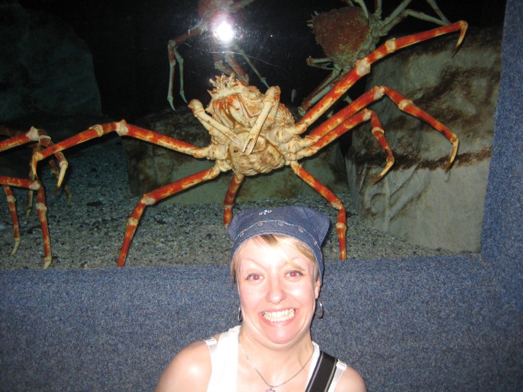 Прикольный краб