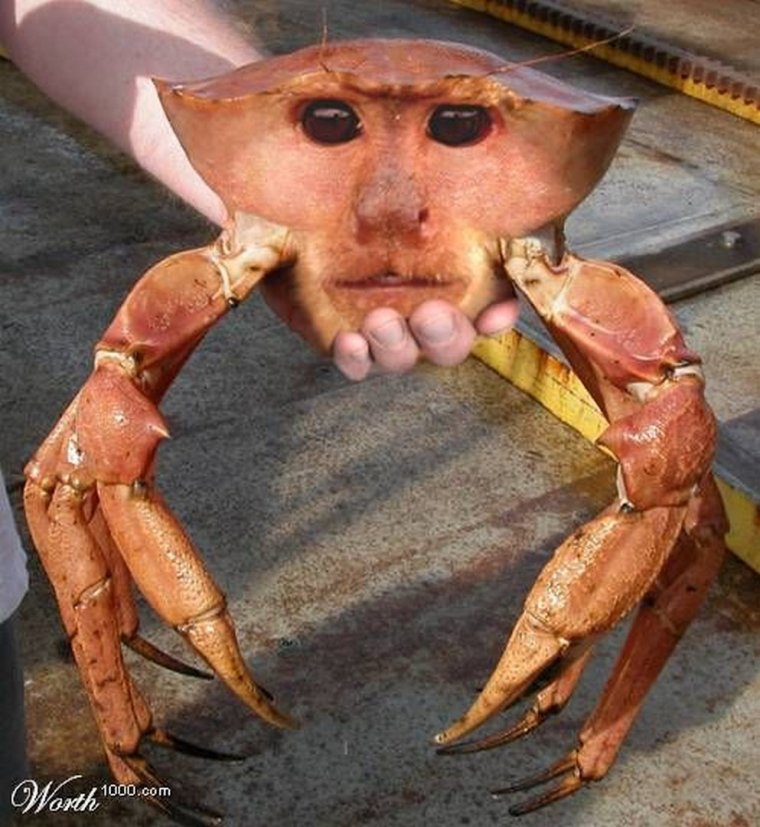 Краб с поднятыми клешнями