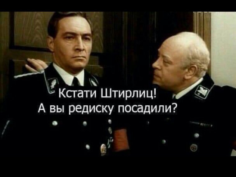 Мюллер 17 мгновений весны