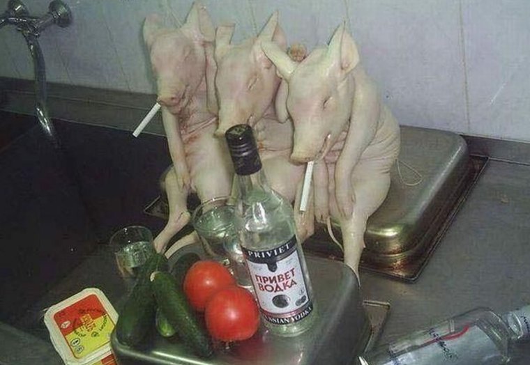 Свинья с бутылкой водки