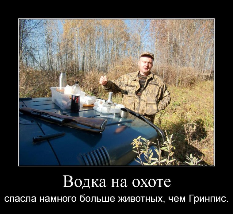 Приколы на охоте