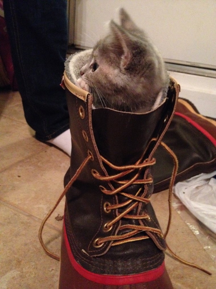 Сапоги прикол