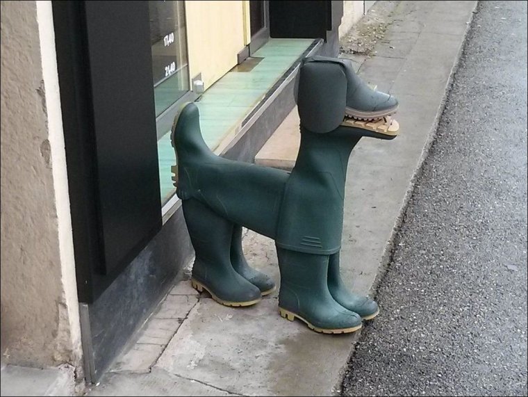 Прикольные сапоги