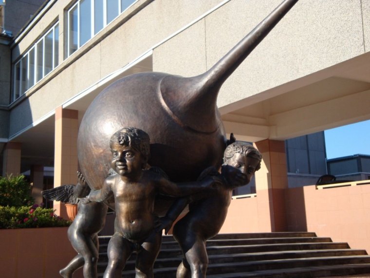 Спринцовка для клизмы