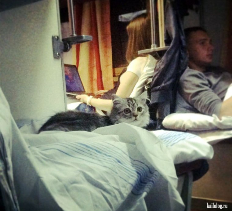 Романтика плацкарта