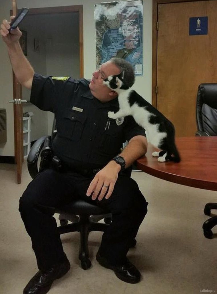 Охранник прикол