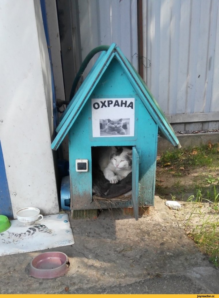 Смешная будка