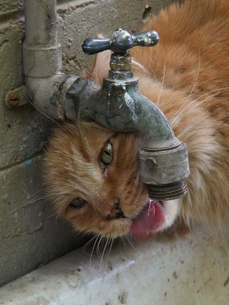 Горячая вода прикол