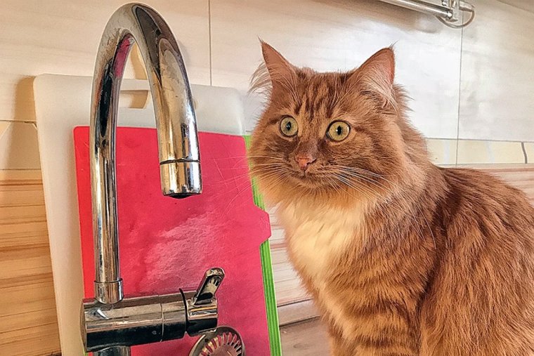 Грязная вода в ванной