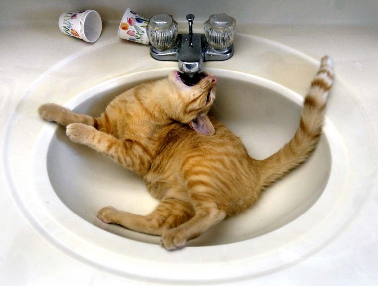 В отеле отключили воду