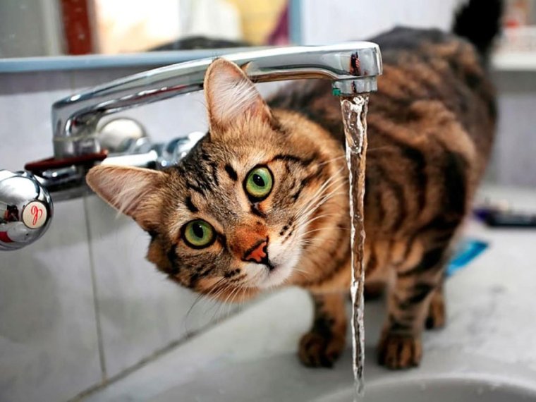 Отключили горячую воду прикол