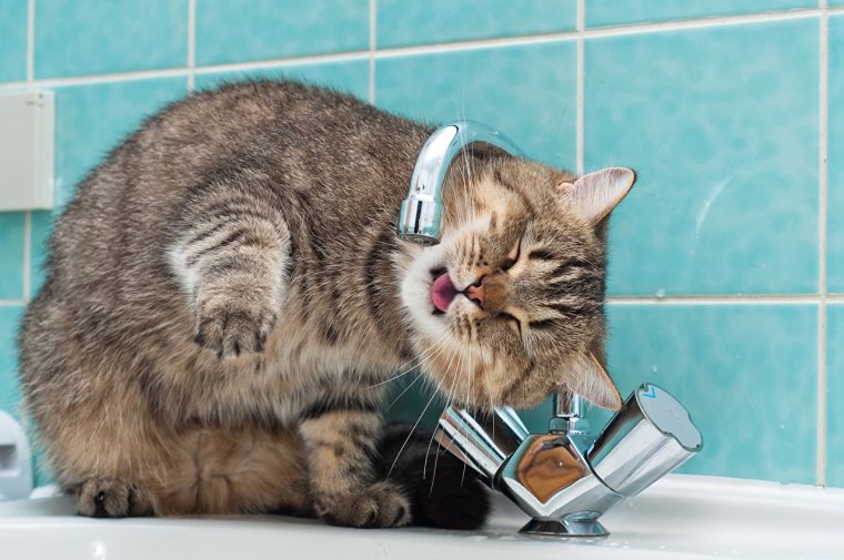 Отключение воды Мем