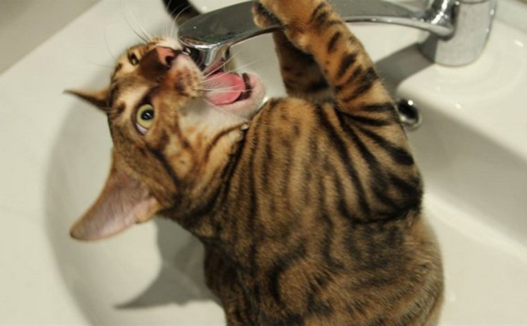 Без горячей воды