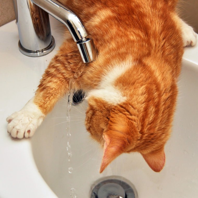 Демотиваторы про горячую воду