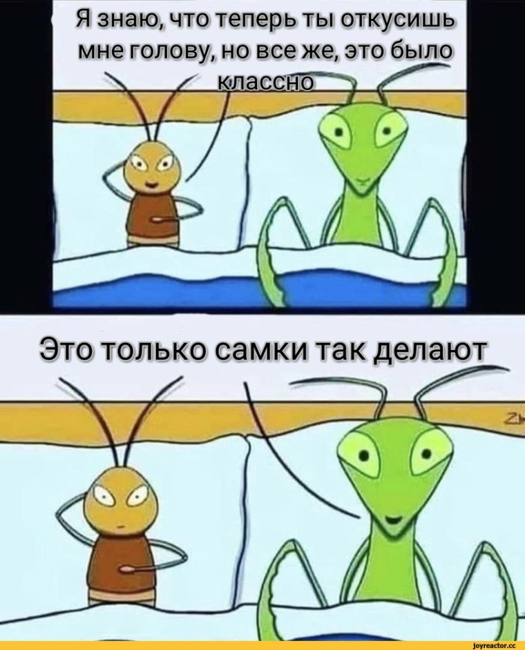 Самка богомола мемы