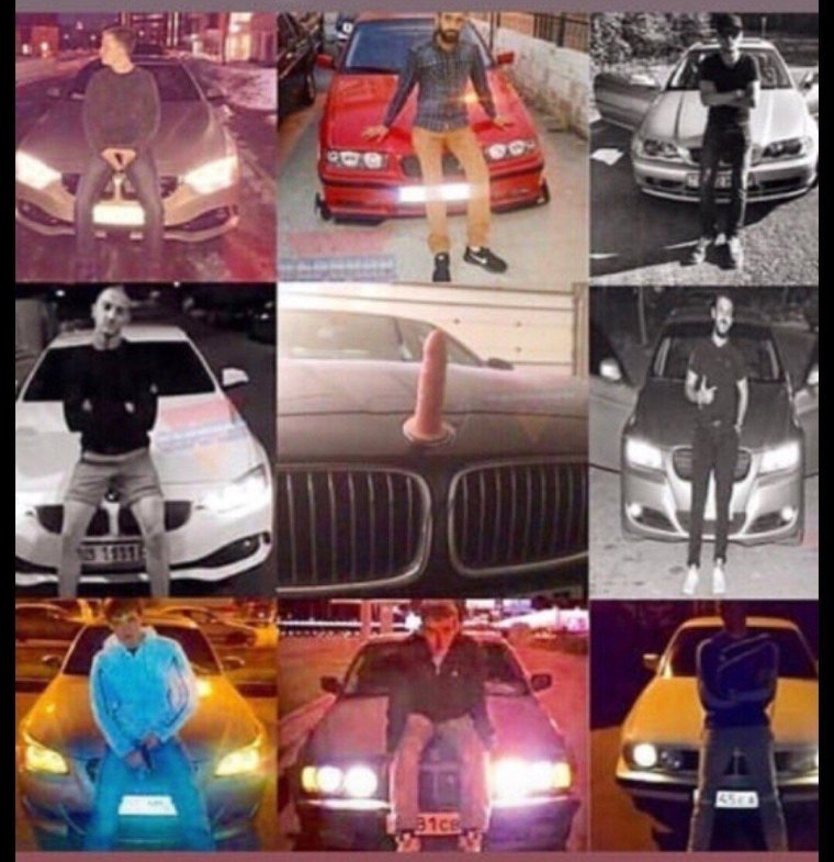 Корова в машине