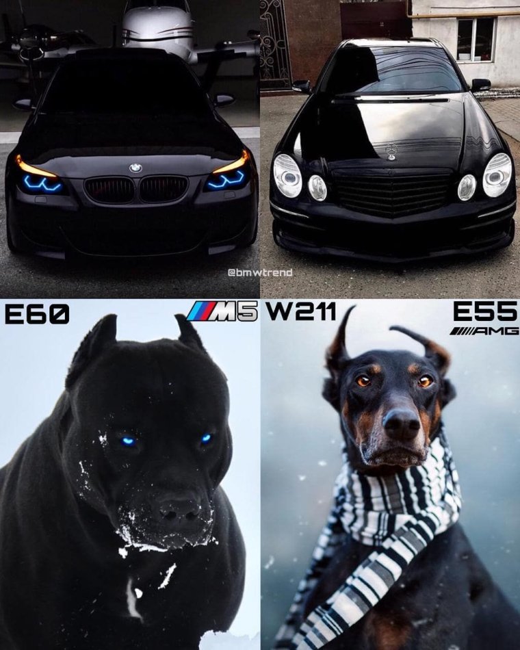 Шутка про решетку БМВ