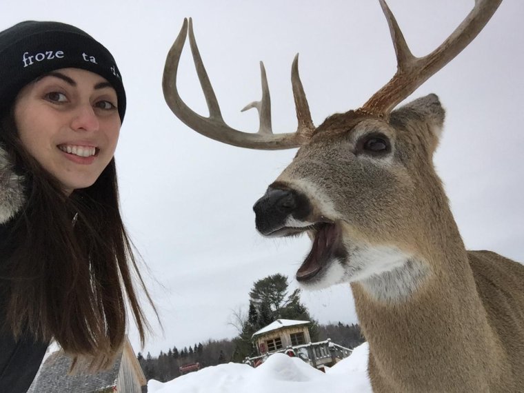 Прикольные картиночки Канады