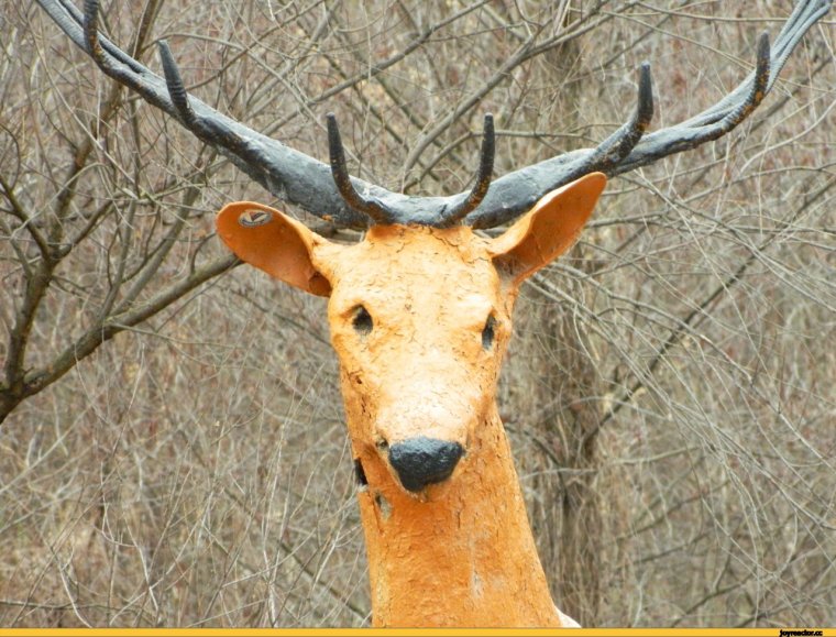 Удивленный олень