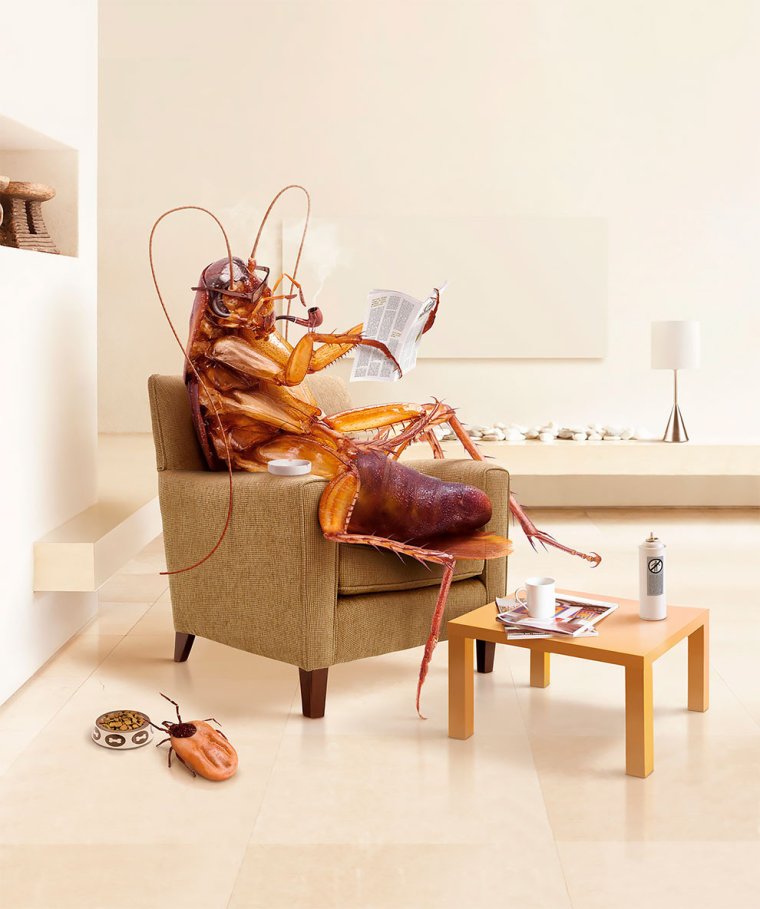 Таракан прикольный