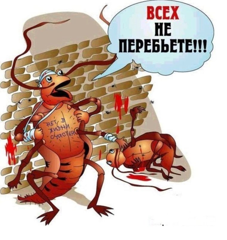 Картинки тараканов прикольные