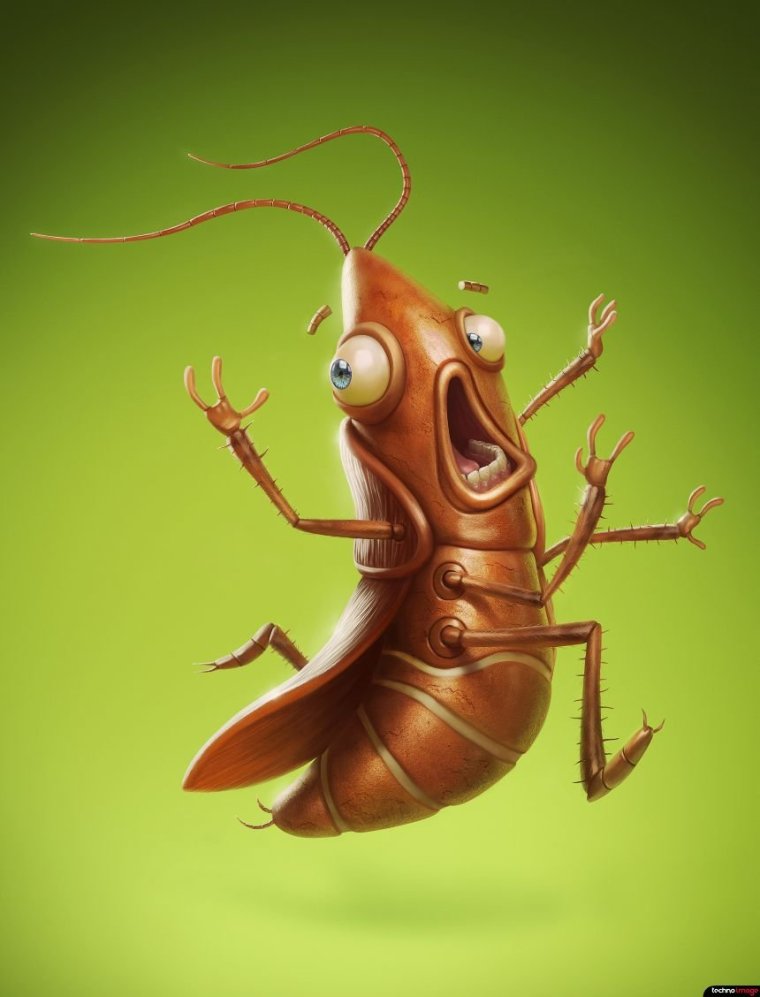 Букашки таракашки