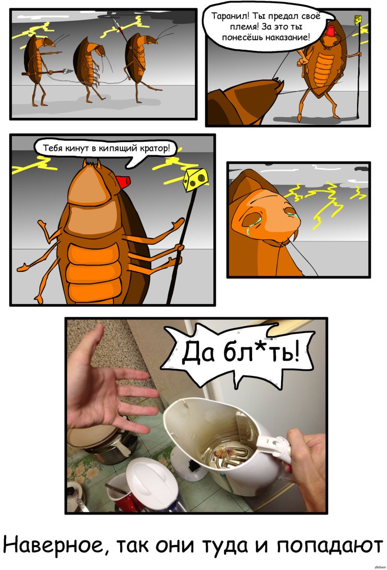 Смешной таракан