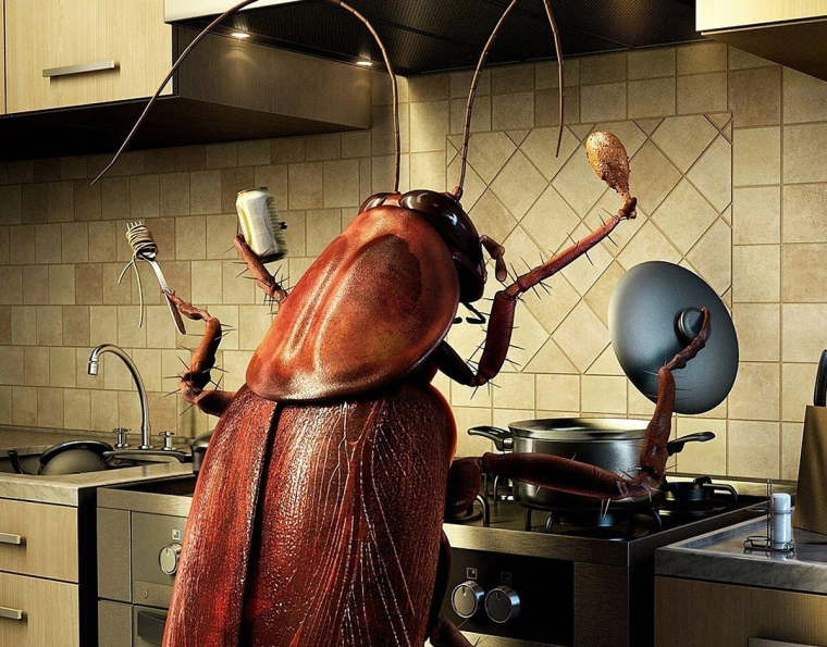 Кухонные тараканы