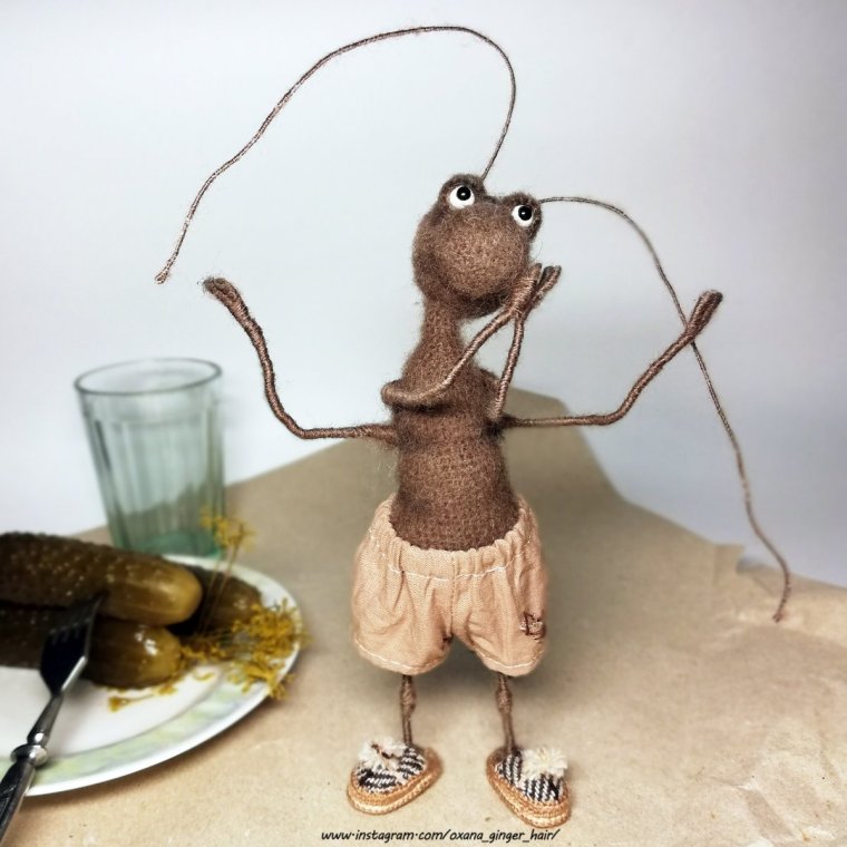 Валяные игрушки таракашки