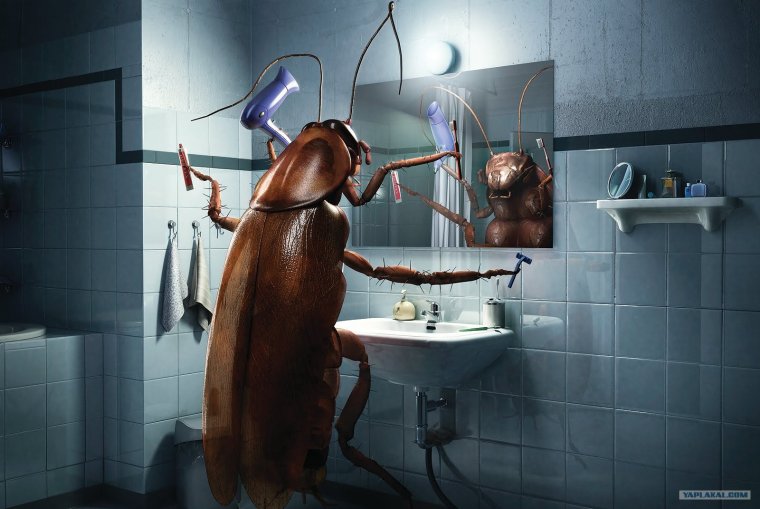 Боевой таракан