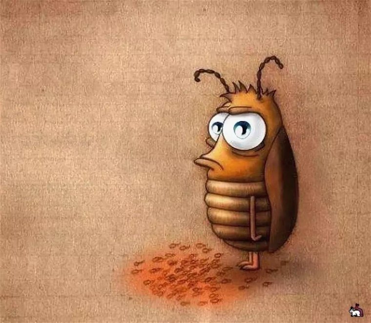 Смешные фото тараканов