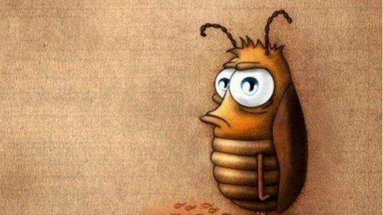 Смешной клоп